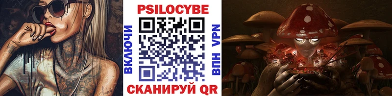 Галлюциногенные грибы Cubensis  Борзя 