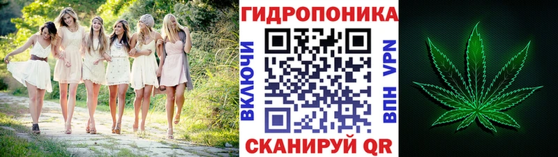 Бошки Шишки планчик  где продают   Борзя 